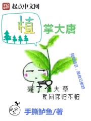 植掌大唐